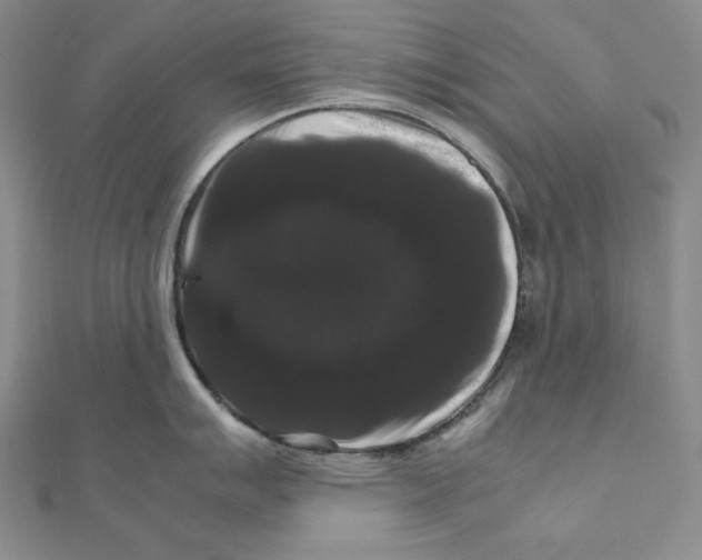 X0000111121007200907281025