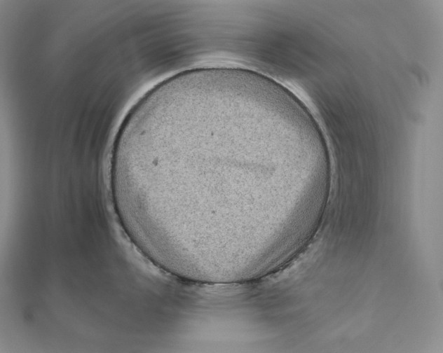 X0000111121008200907281025