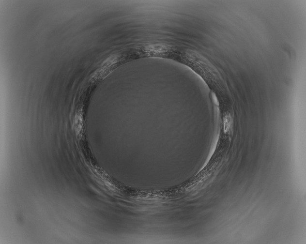 X0000111121011200907281024