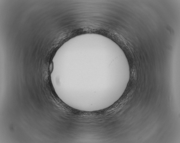 X0000111121012200907281024