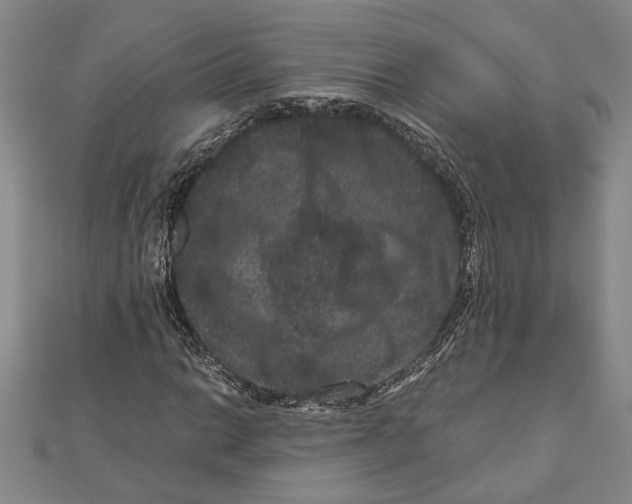 X0000111121014200907281024