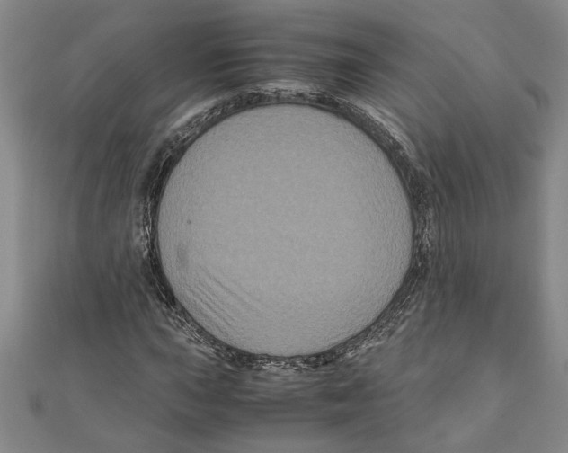 X0000111121015200907281024