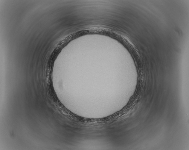 X0000111121016200907281024