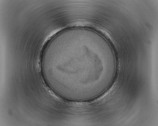 X0000111121018200907281024