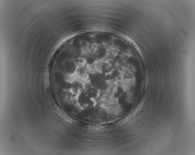 X0000111121019200907281024