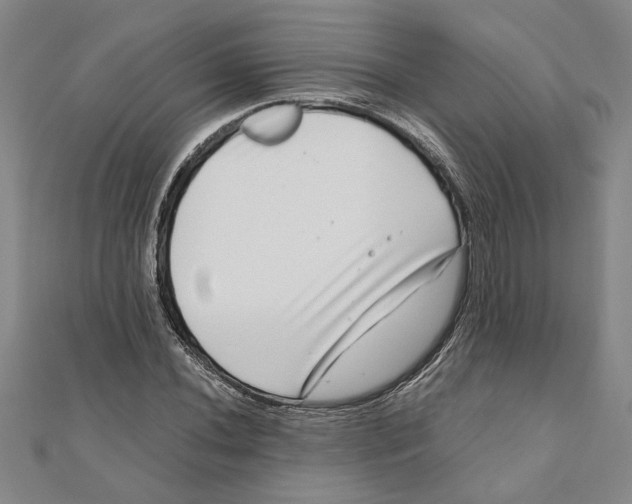 X0000111121020200907281024