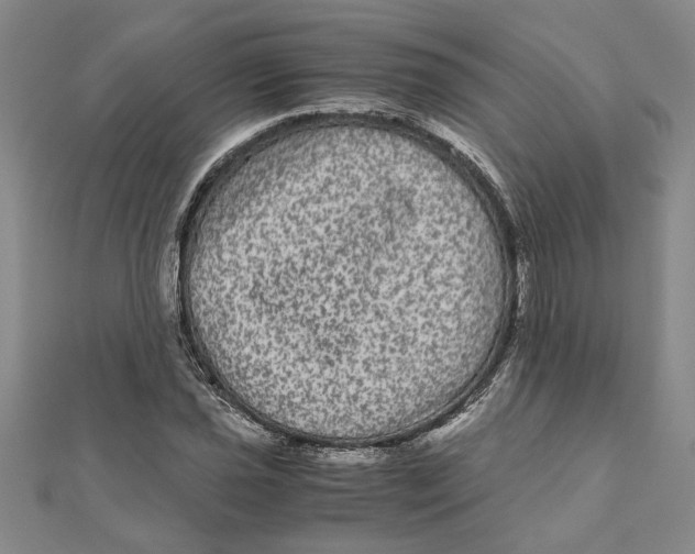 X0000111121021200907281024