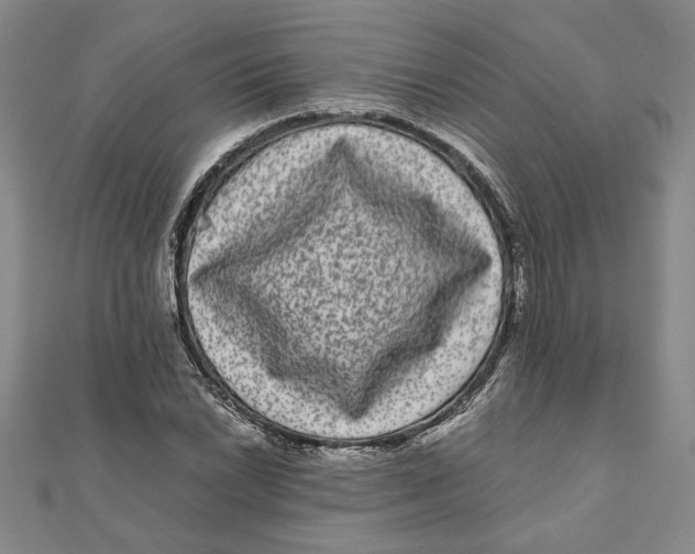 X0000111121022200907281024