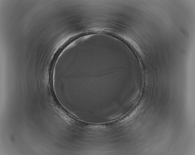 X0000111121023200907281024