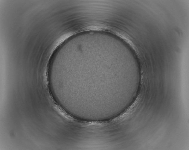 X0000111121026200907281024