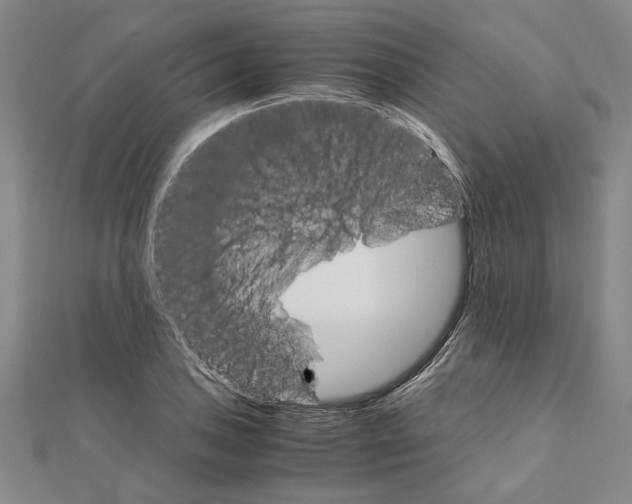 X0000111121027200907281024