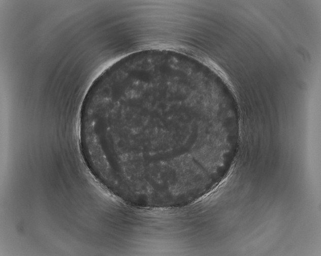 X0000111121028200907281024