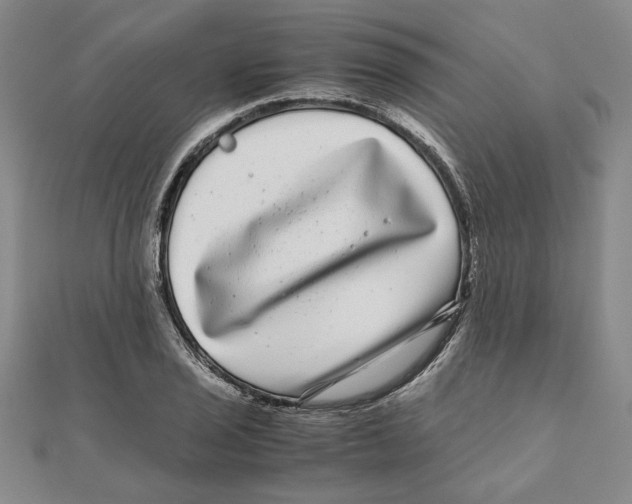 X0000111121029200907281024