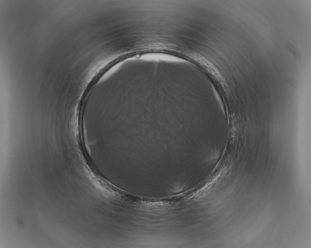 X0000111121031200907281024
