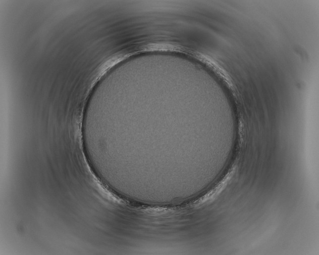 X0000111121033200907281024