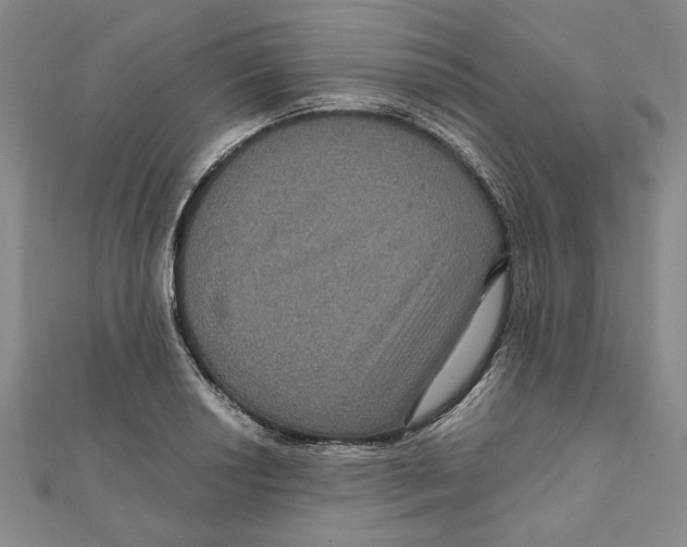 X0000111121034200907281024