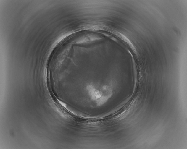 X0000111121035200907281024