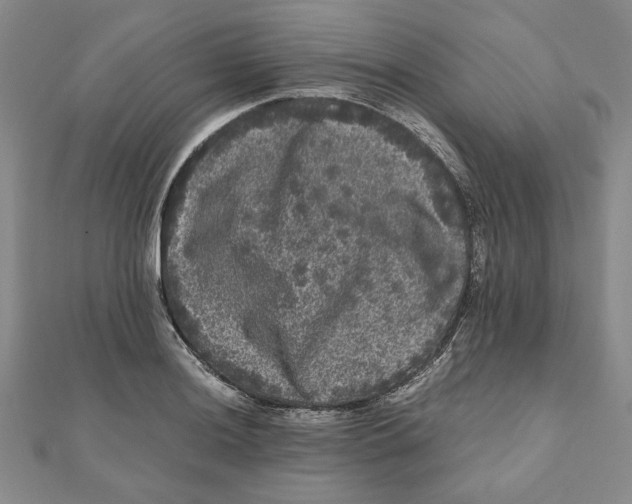 X0000111121036200907281024