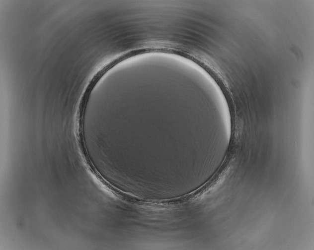 X0000111121037200907281024