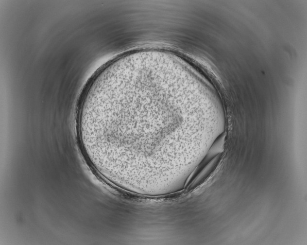 X0000111121038200907281024