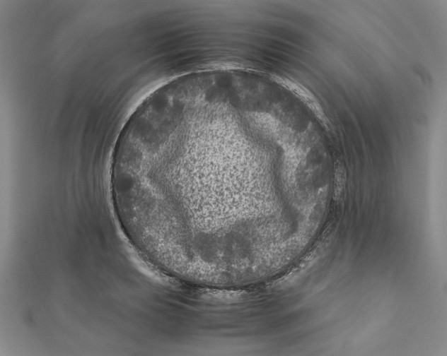 X0000111121039200907281024
