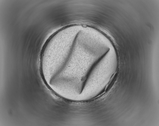 X0000111121040200907281024