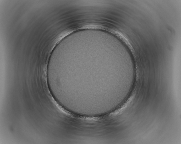 X0000111121041200907281024