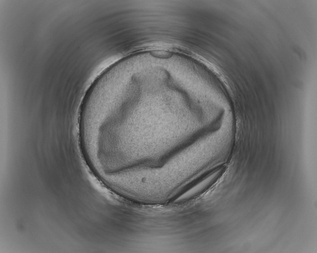 X0000111121042200907281024