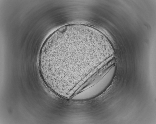 X0000111121044200907281025