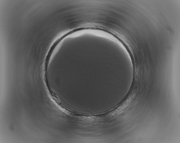 X0000111121045200907281025