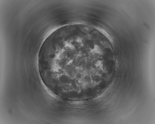X0000111121047200907281025