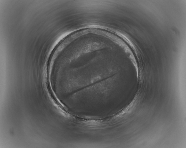 X0000111121048200907281025
