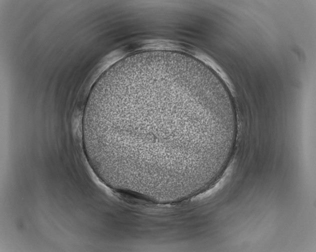 X0000111121049200907281025