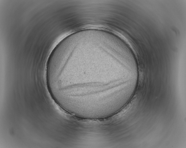 X0000111121050200907281025