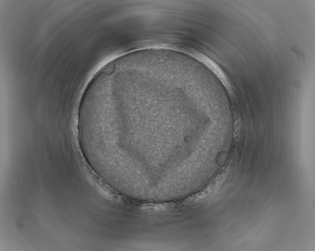 X0000111121051200907281025