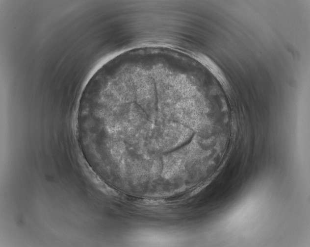 X0000111121052200907281025