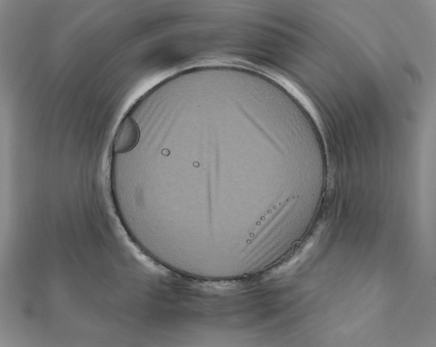 X0000111121053200907281025