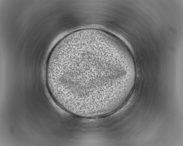 X0000111121054200907281025