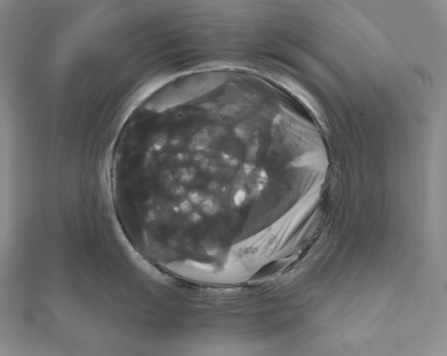 X0000111121055200907281025