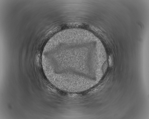 X0000111121059200907281024