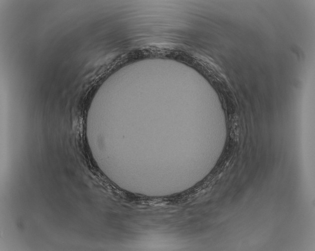 X0000111121061200907281024