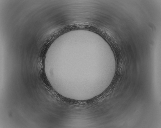 X0000111121062200907281024