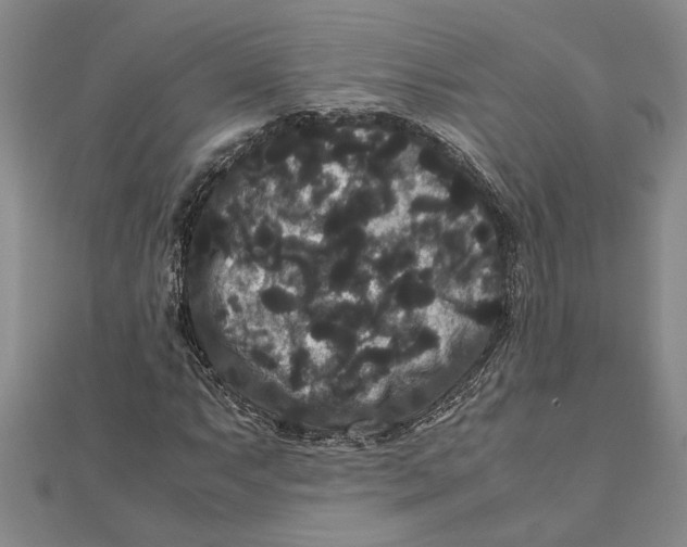 X0000111121063200907281024