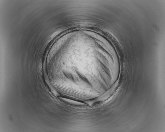 X0000111121065200907281024