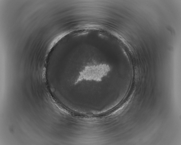 X0000111121066200907281024