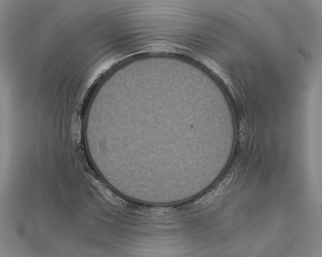X0000111121067200907281024