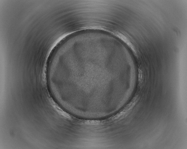 X0000111121068200907281024