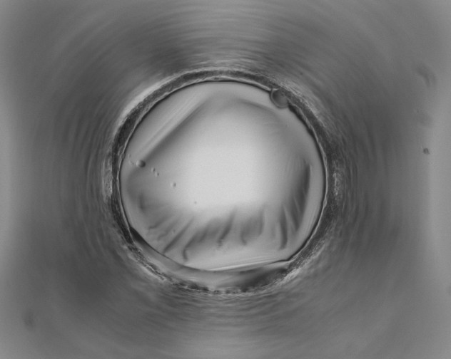 X0000111121069200907281024
