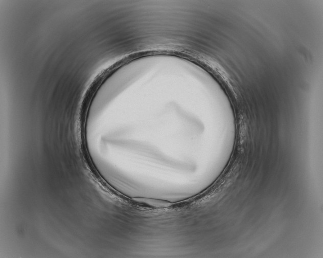 X0000111121072200907281024