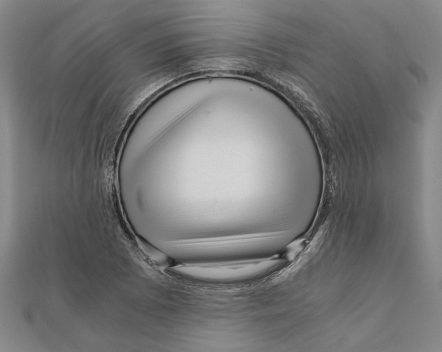 X0000111121073200907281024